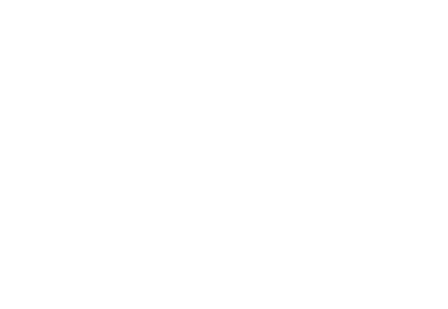 Javier Martín Ruiz